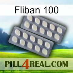 Fliban 100 07